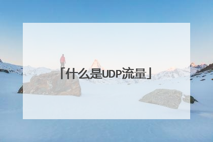 什么是UDP流量