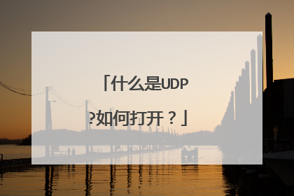 什么是UDP?如何打开？