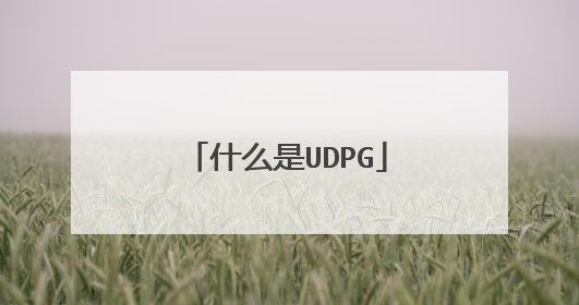 什么是UDPG