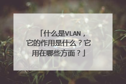 什么是VLAN，它的作用是什么？它用在哪些方面？