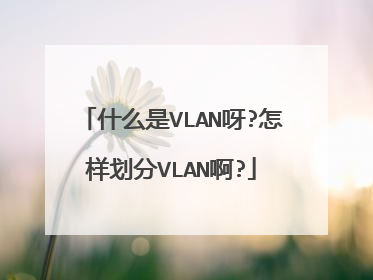 什么是VLAN呀?怎样划分VLAN啊?