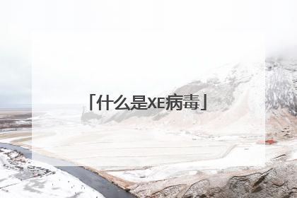 什么是XE病毒