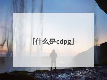 什么是cdpg