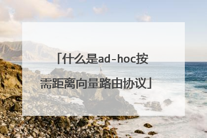 什么是ad-hoc按需距离向量路由协议