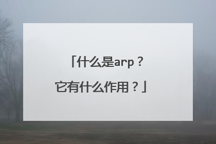 什么是arp？它有什么作用？