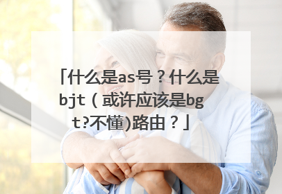什么是as号?什么是bjt(或许应该是bgt?不懂)路由?