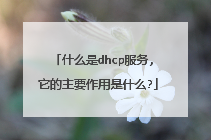 什么是dhcp服务,它的主要作用是什么?