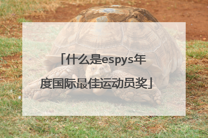 什么是espys年度国际最佳运动员奖