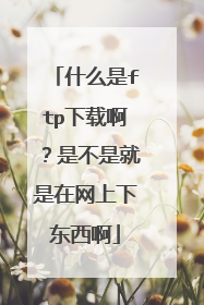 什么是ftp下载啊?是不是就是在网上下东西啊