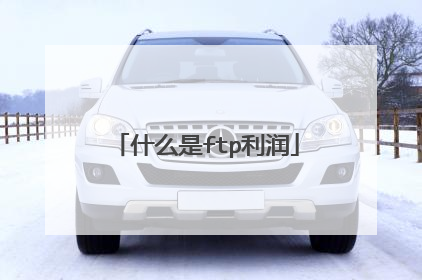 什么是ftp利润