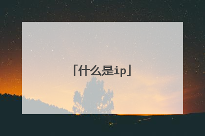 什么是ip