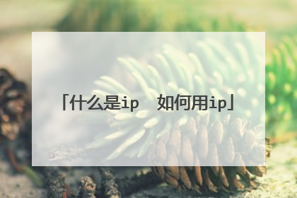 什么是ip 如何用ip