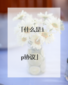 什么是ip协议
