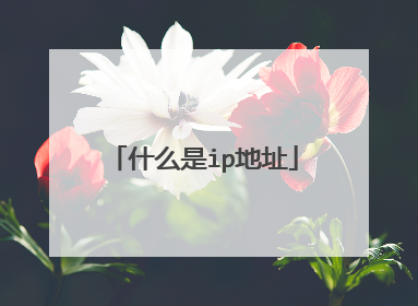 什么是ip地址