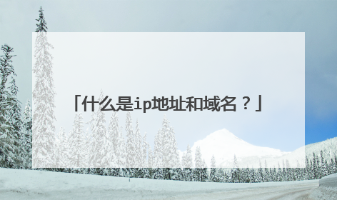 什么是ip地址和域名？