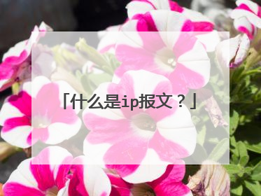 什么是ip报文？