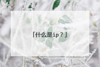 什么是ip？