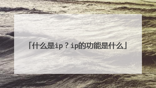 什么是ip?ip的功能是什么