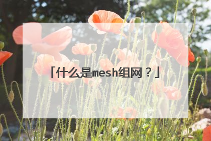 什么是mesh组网？