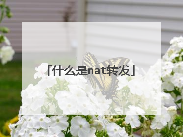 什么是nat转发