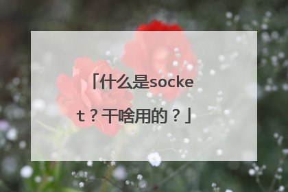 什么是socket?干啥用的?