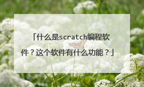 什么是scratch编程软件?这个软件有什么功能?