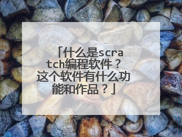 什么是scratch编程软件?这个软件有什么功能和作品?