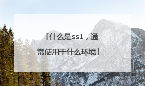 什么是ssl,通常使用于什么环境