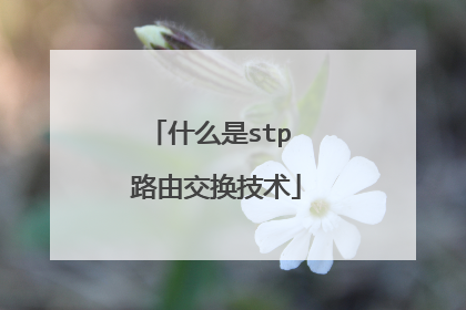 什么是stp 路由交换技术