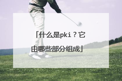 什么是pki?它由哪些部分组成