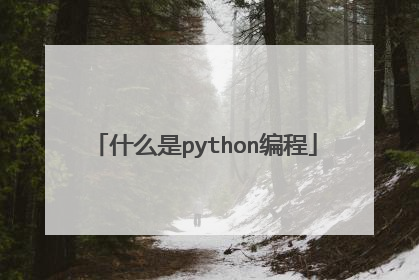 什么是python编程