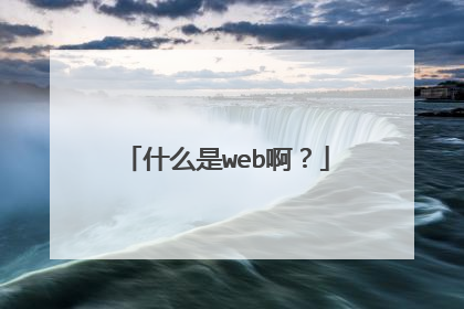 什么是web啊？