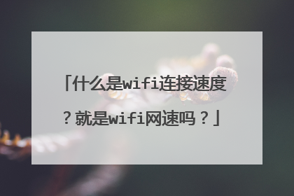 什么是wifi连接速度？就是wifi网速吗？