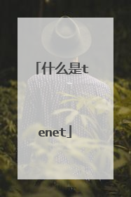 什么是tenet