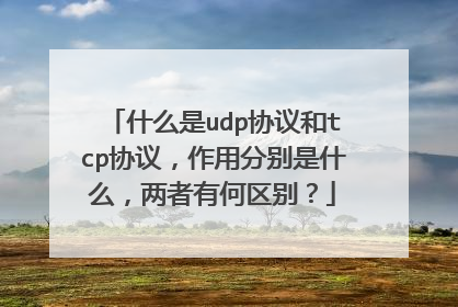 什么是udp协议和tcp协议,作用分别是什么,两者有何区别?