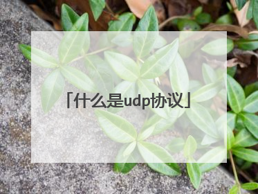 什么是udp协议