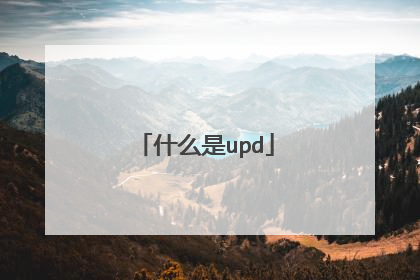 什么是upd