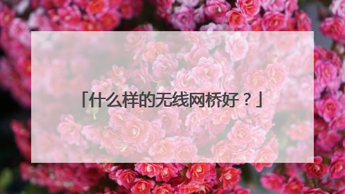 什么样的无线网桥好?