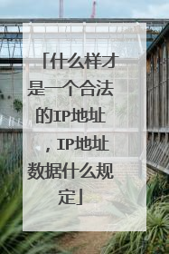 什么样才是一个合法的IP地址,IP地址数据什么规定