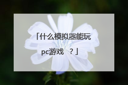 什么模拟器能玩pc游戏 ？