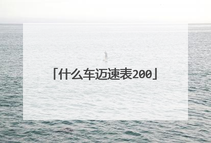 什么车迈速表200