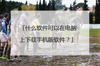 什么软件可以在电脑上下载手机版软件?
