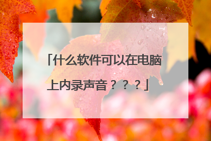 什么软件可以在电脑上内录声音???