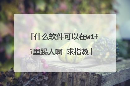 什么软件可以在wifi里踢人啊 求指教