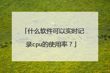 什么软件可以实时记录cpu的使用率?