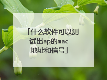 什么软件可以测试出ap的mac地址和信号