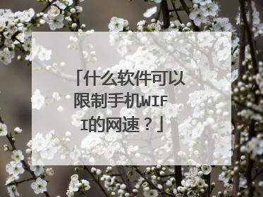 什么软件可以限制手机WIFI的网速?