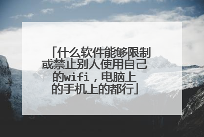 什么软件能够限制或禁止别人使用自己的wifi,电脑上的手机上的都行