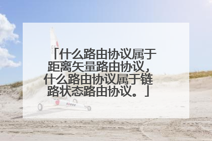 什么路由协议属于距离矢量路由协议,什么路由协议属于链路状态路由协议。