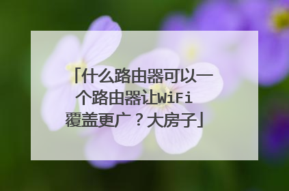 什么路由器可以一个路由器让WiFi覆盖更广?大房子